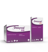 Acheter Doxycycline Chat