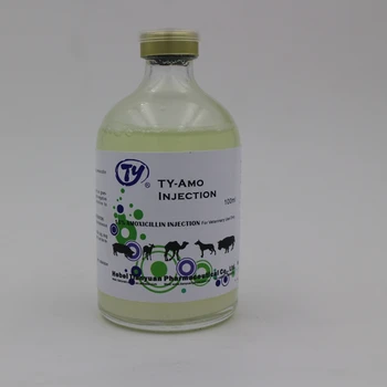 Amoxicilline chat prix