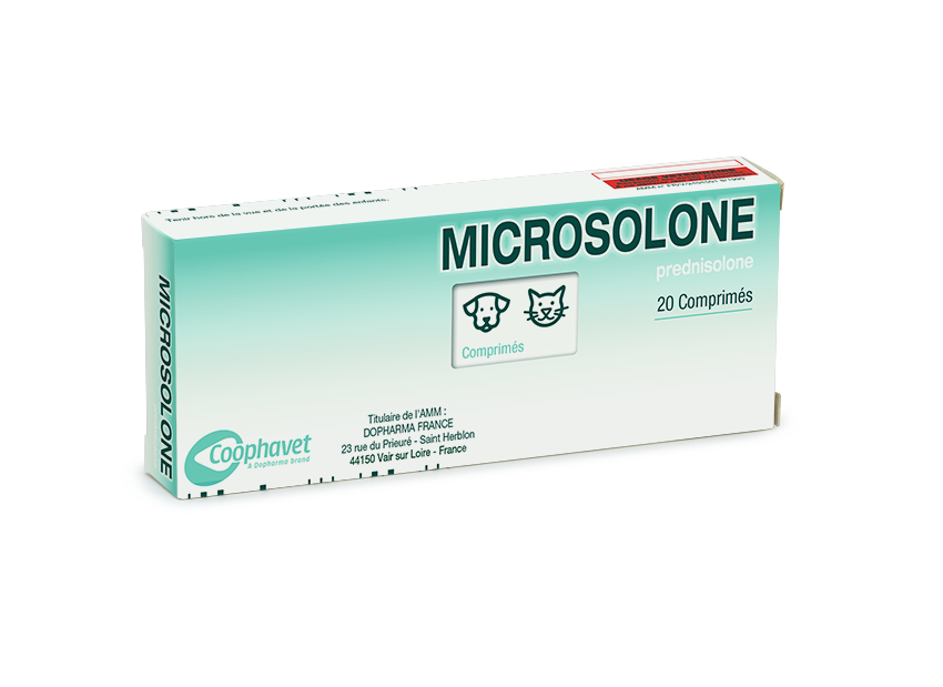prix prednisolone