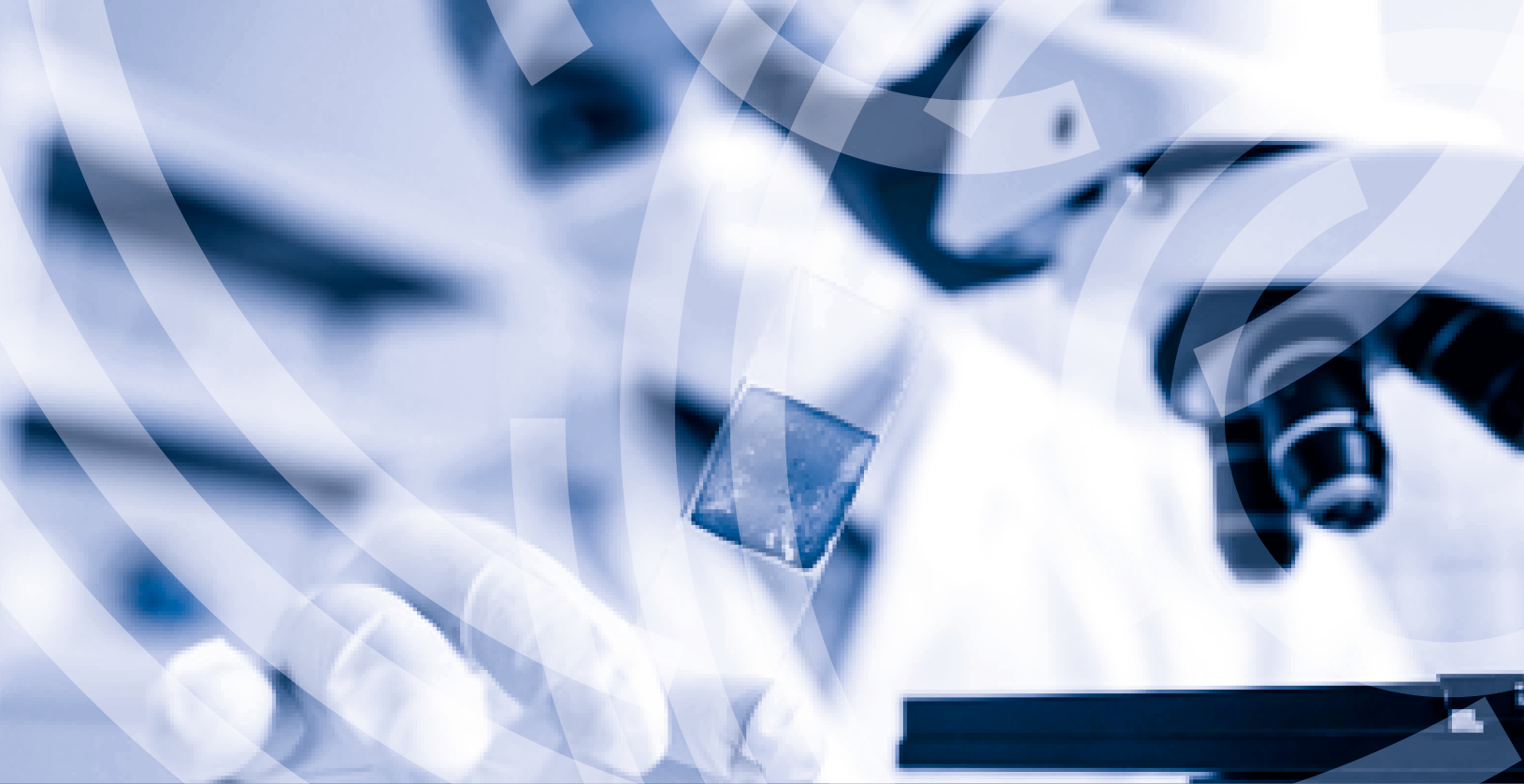 Sildenafil Bnf Online