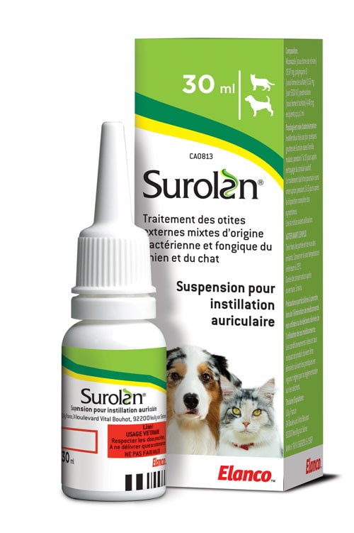 Prednisolone chien prix