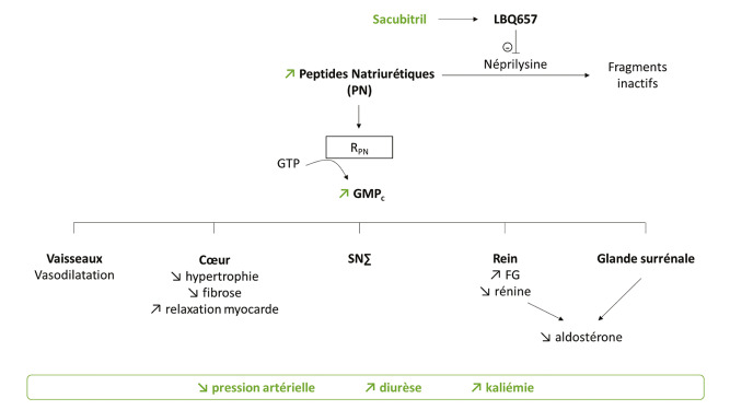 Furosemide 40 sans ordonnance