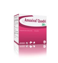 Amoxicilline Pour Chat Sans Ordonnance