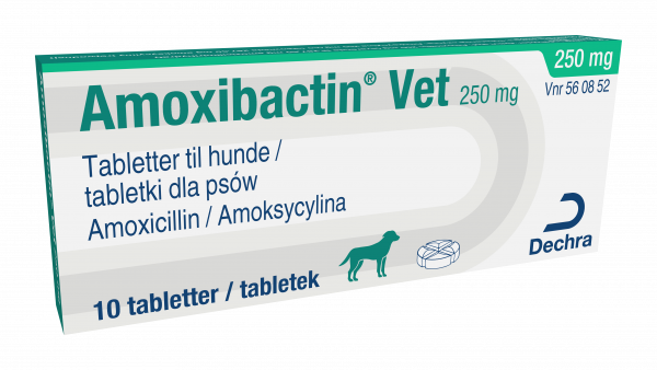 Acheter amoxicillin