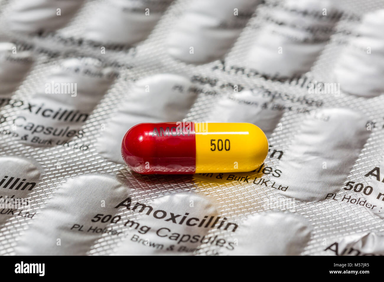 Amoxicillin pilule