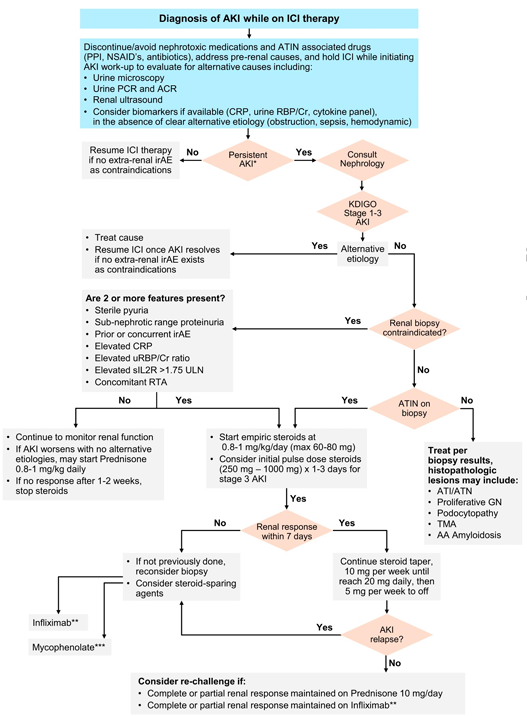 Prednisolone pbs online
