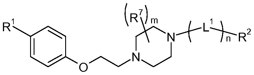 Metformin pilules