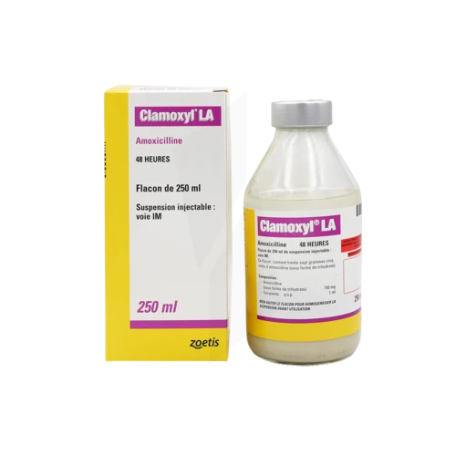 Amoxicilline chat prix
