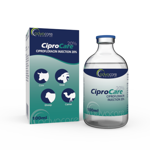 Comment acheter du ciprofloxacin