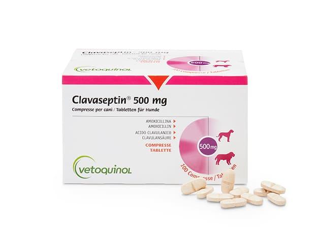 Amoxicillin 1000 Mg Verpackungsgrößen