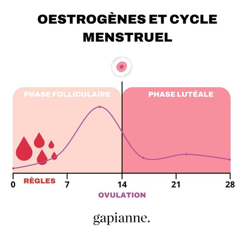 Oestrogènes conjugués générique