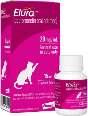 Prednisolone 20 Mg Chien Prix