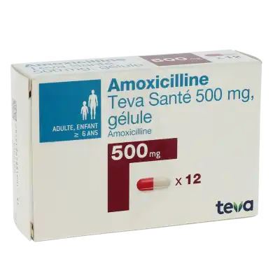 Amoxicilline zydus france 500 mg