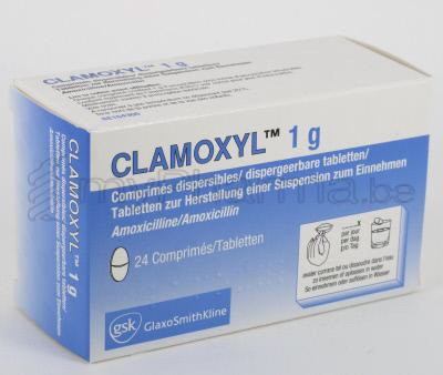 Amoxil 1g prix