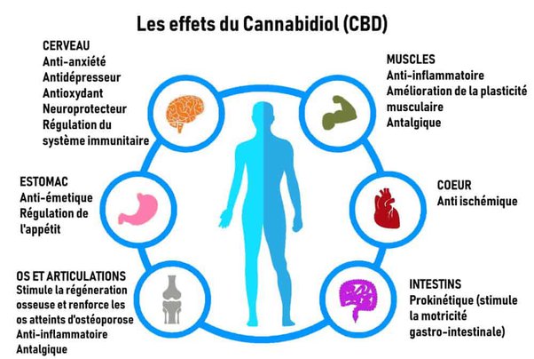 Sertraline bon marché
