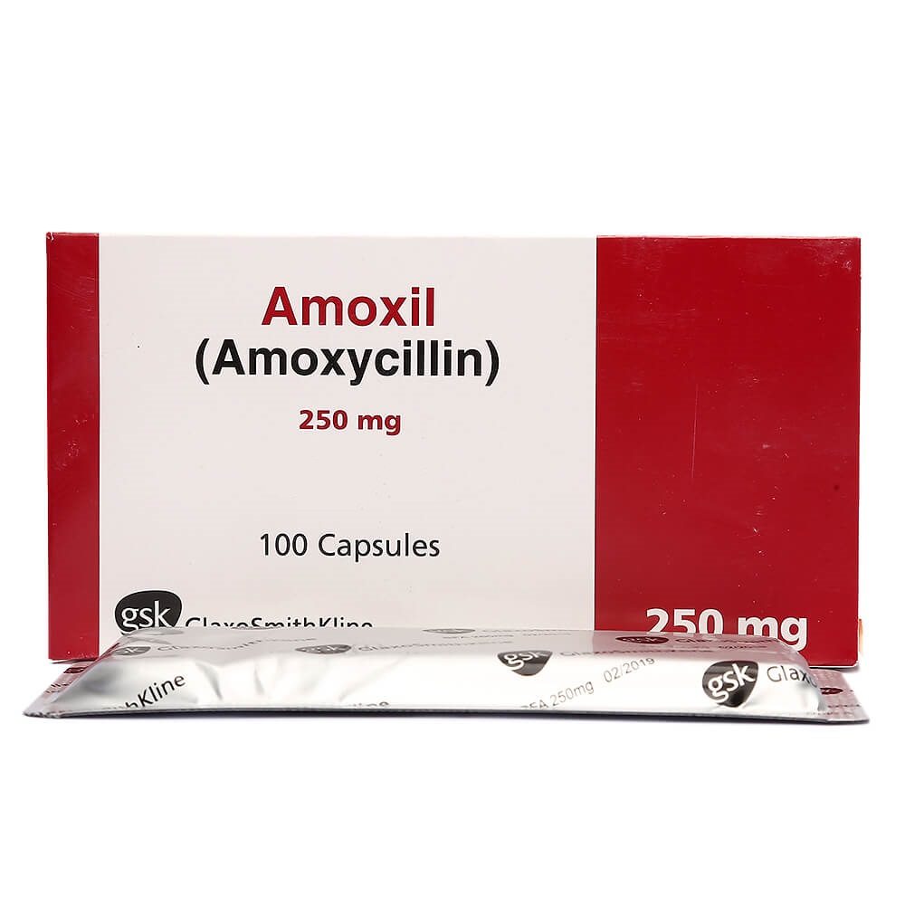 Amoxil 1g prix