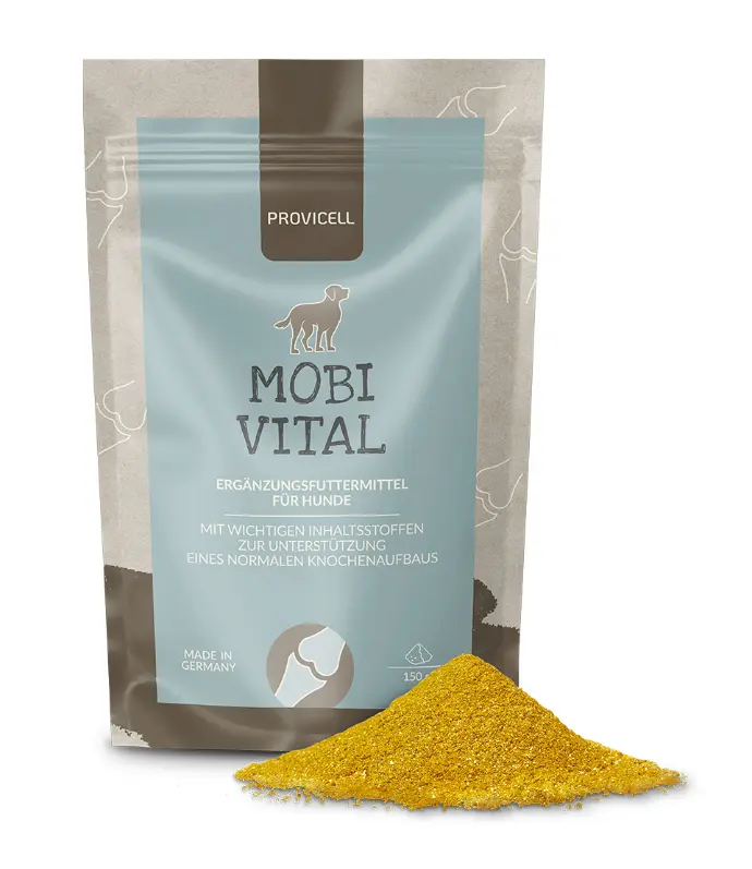 Modvigil pharmacie online