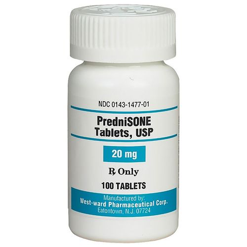 Prednisolone 20 mg chien prix