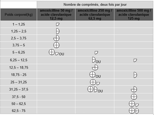 Coût amoxil