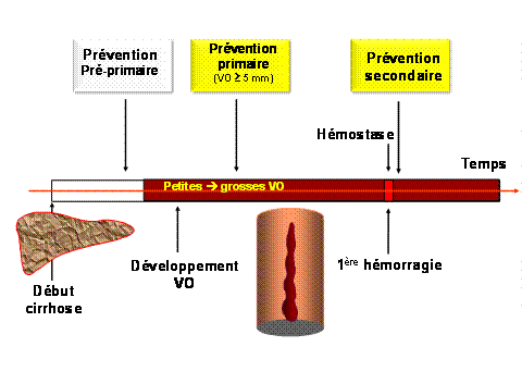 Nadolol 20 Mg Propranolol
