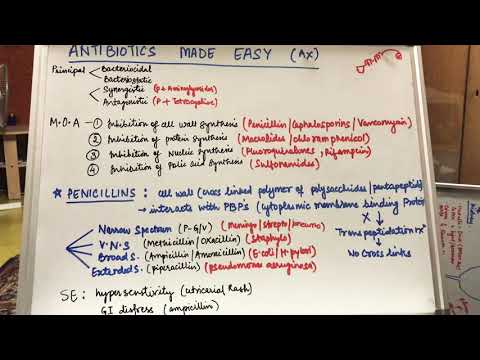Ordre Amoxicillin