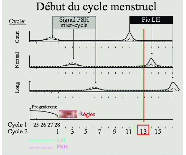 Commander clomiphene en ligne