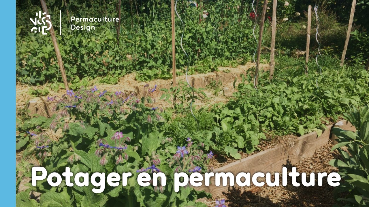 Penegra Moins Cher