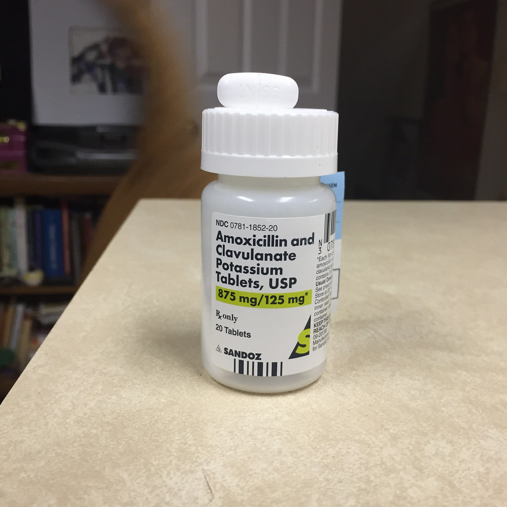 amoxicilline 500mg
