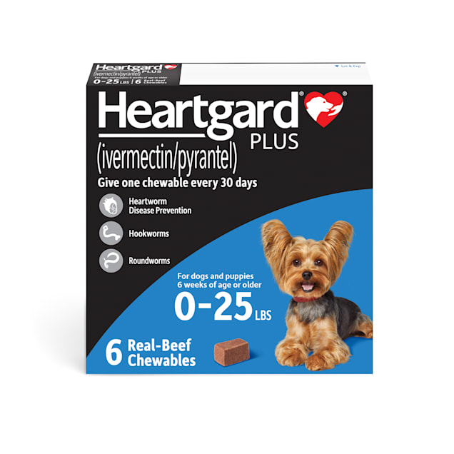Ivermectin Pharmacie Online