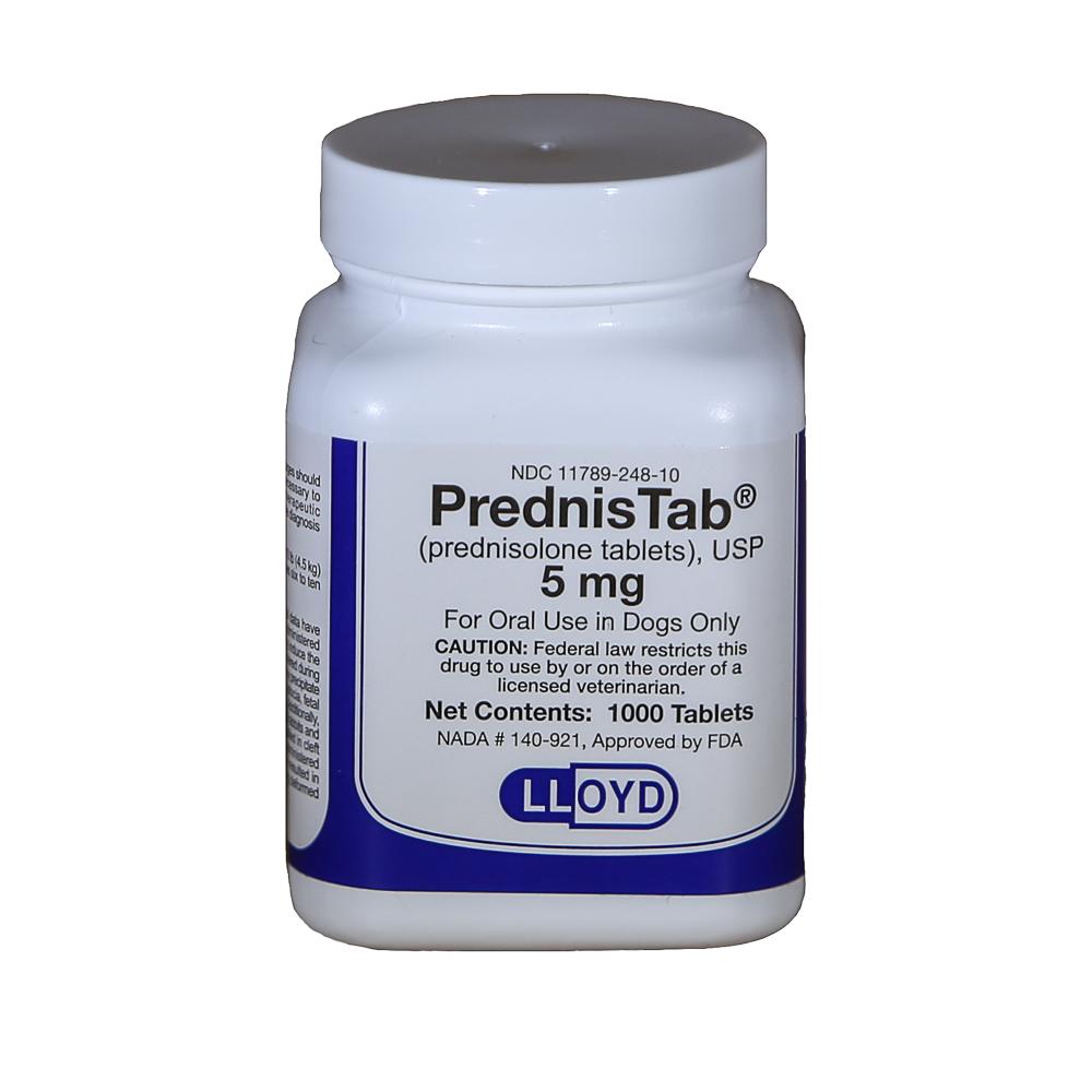 Prednisolone Pas Cher