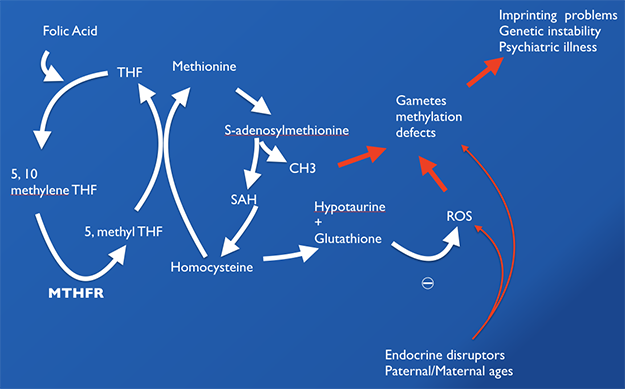 Clomiphene online