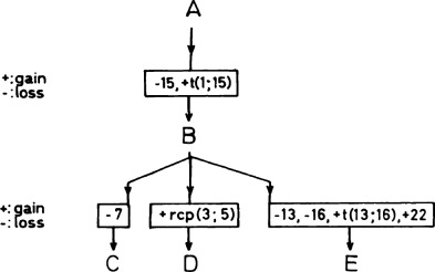 Propranolol 40 Mg Rcp