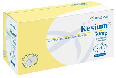 Comment Acheter Du Amoxicilline