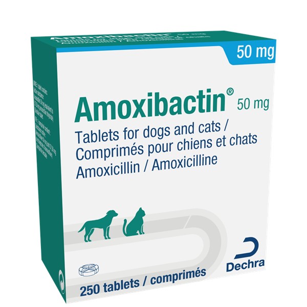 coût amoxil