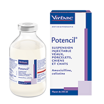 Amoxicilline chat achat