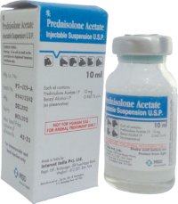Prednisolone achat france