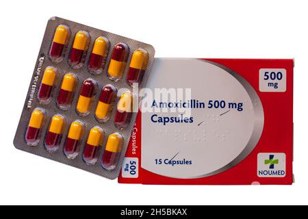 Amoxicilline pilules