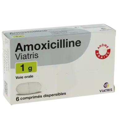 Amoxicilline zydus france 500 mg