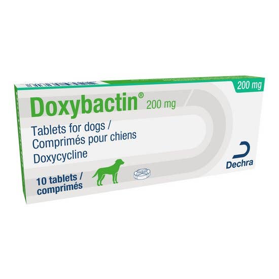 Doxycycline 100 prix