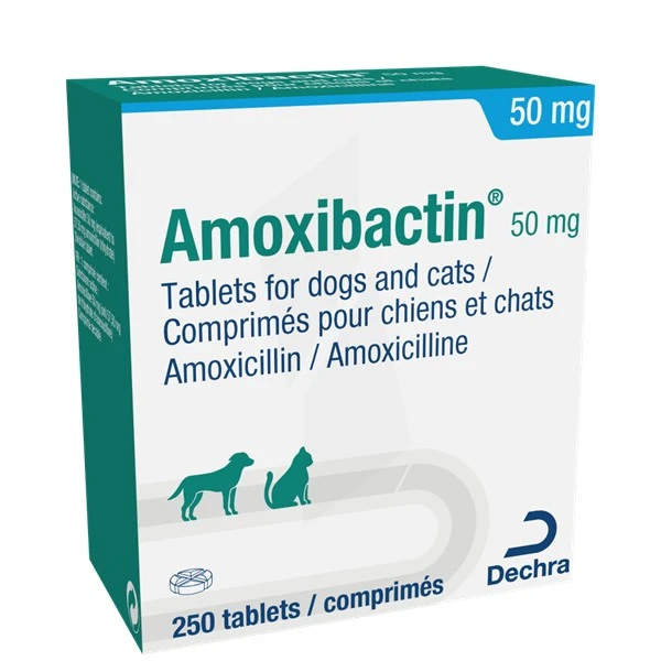 acheter amoxil en ligne