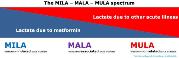 Ordre metformine