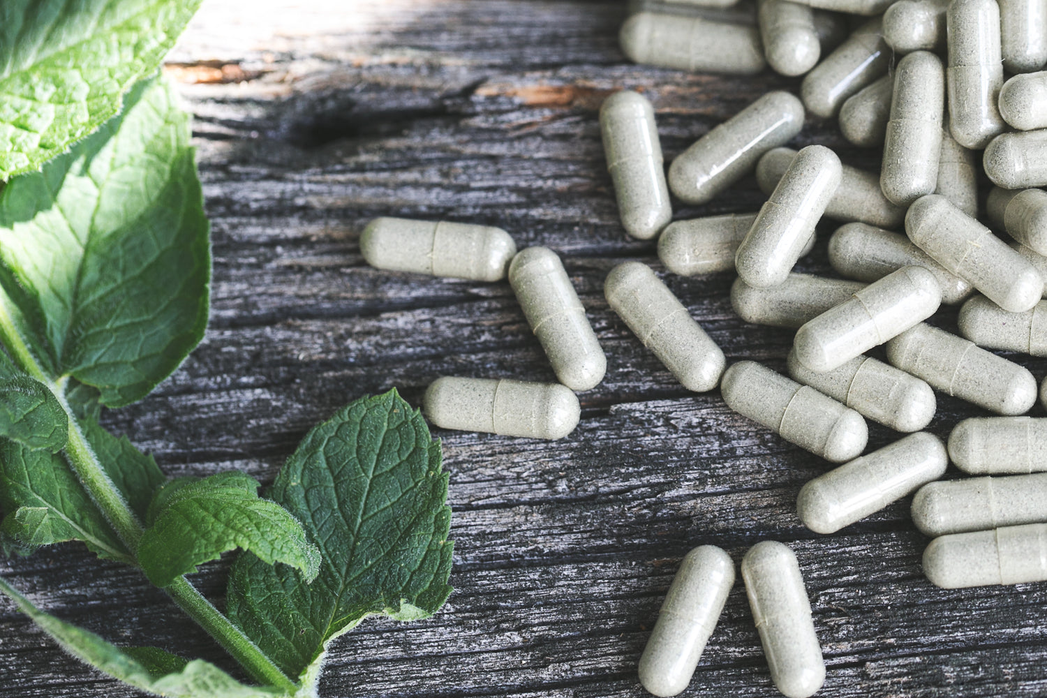 Nizagara 25mg online