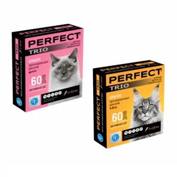 Acheter amoxicilline pour chat