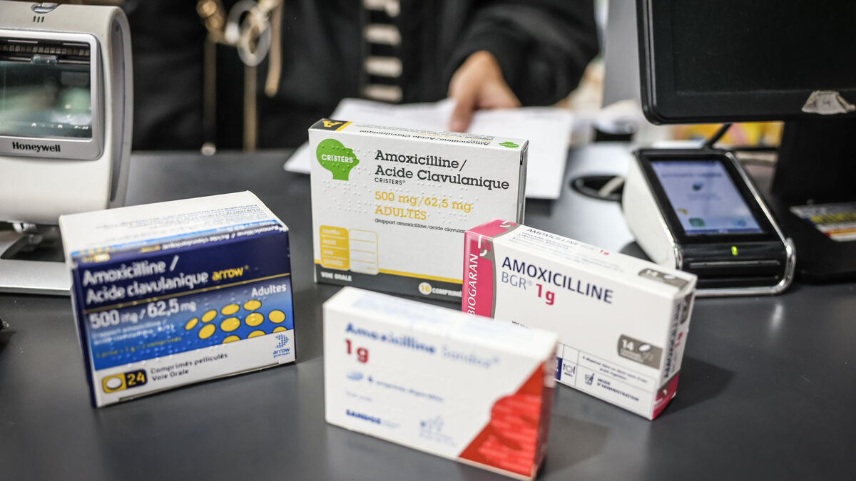 Amoxicilline zydus france 500mg