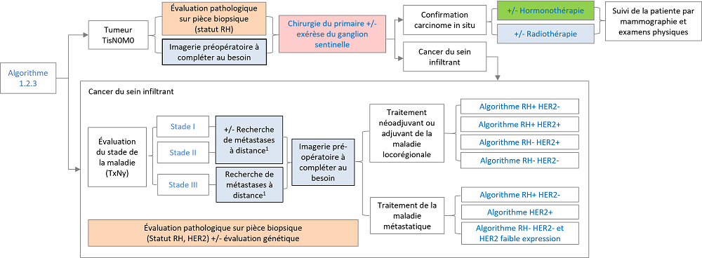 Coût du tamoxifen