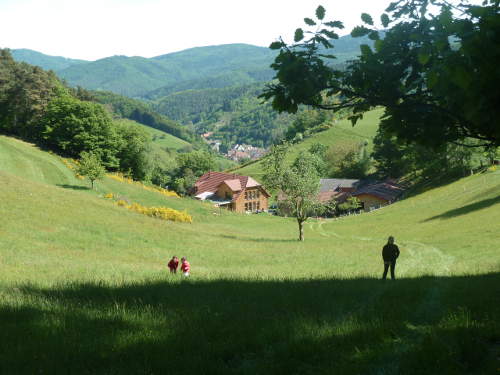 Cialis Acheter Online