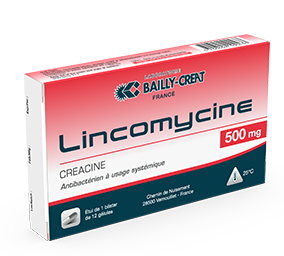 Amoxicillin in france