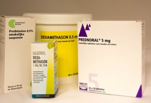 Coût prednisolone