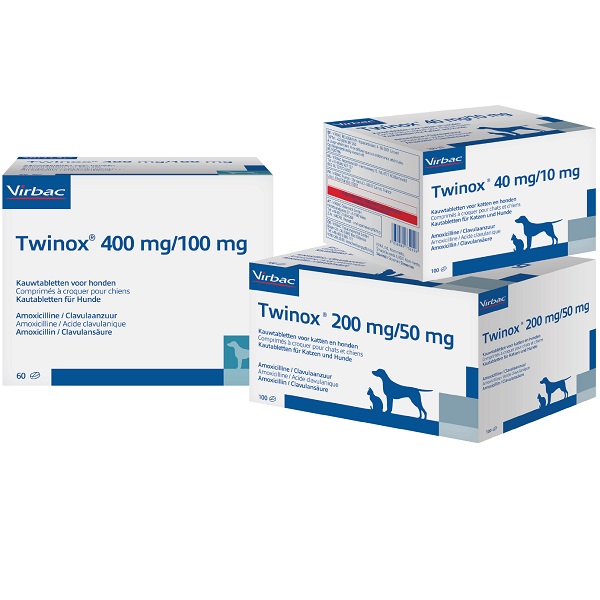 acheter amoxicilline acide clavulanique