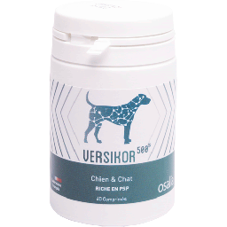 Prednisolone chien prix
